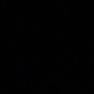 Meet your Posher, Darius